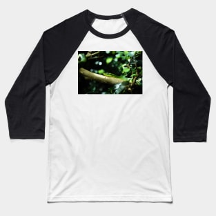 Grüne Mamba / Swiss Artwork Photography Baseball T-Shirt